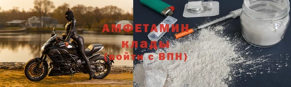 ГАЛЛЮЦИНОГЕННЫЕ ГРИБЫ Бородино