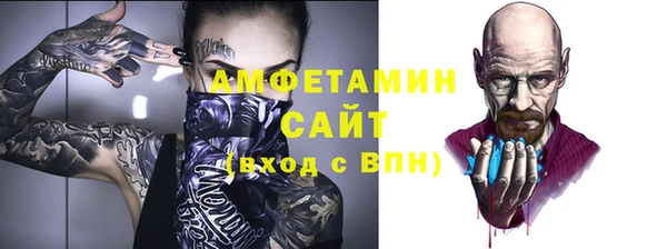 ГАЛЛЮЦИНОГЕННЫЕ ГРИБЫ Бородино
