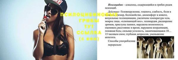 бутират Туринск