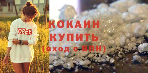ГАЛЛЮЦИНОГЕННЫЕ ГРИБЫ Бородино