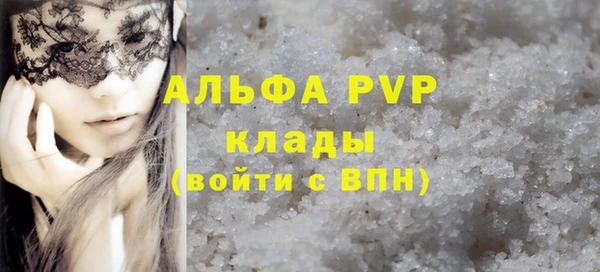 ГАЛЛЮЦИНОГЕННЫЕ ГРИБЫ Бородино