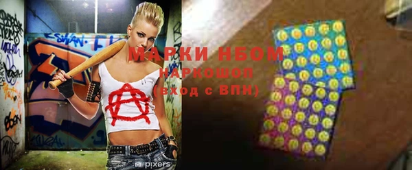 ГАЛЛЮЦИНОГЕННЫЕ ГРИБЫ Бородино