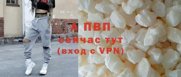ГАЛЛЮЦИНОГЕННЫЕ ГРИБЫ Бородино